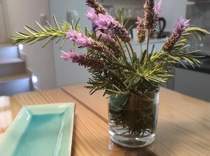 Appartement Suite4you